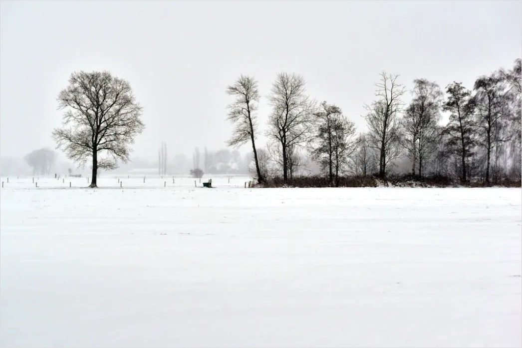 Detail Winter Schnee Stille Landschaft Minimalistisch Number 17