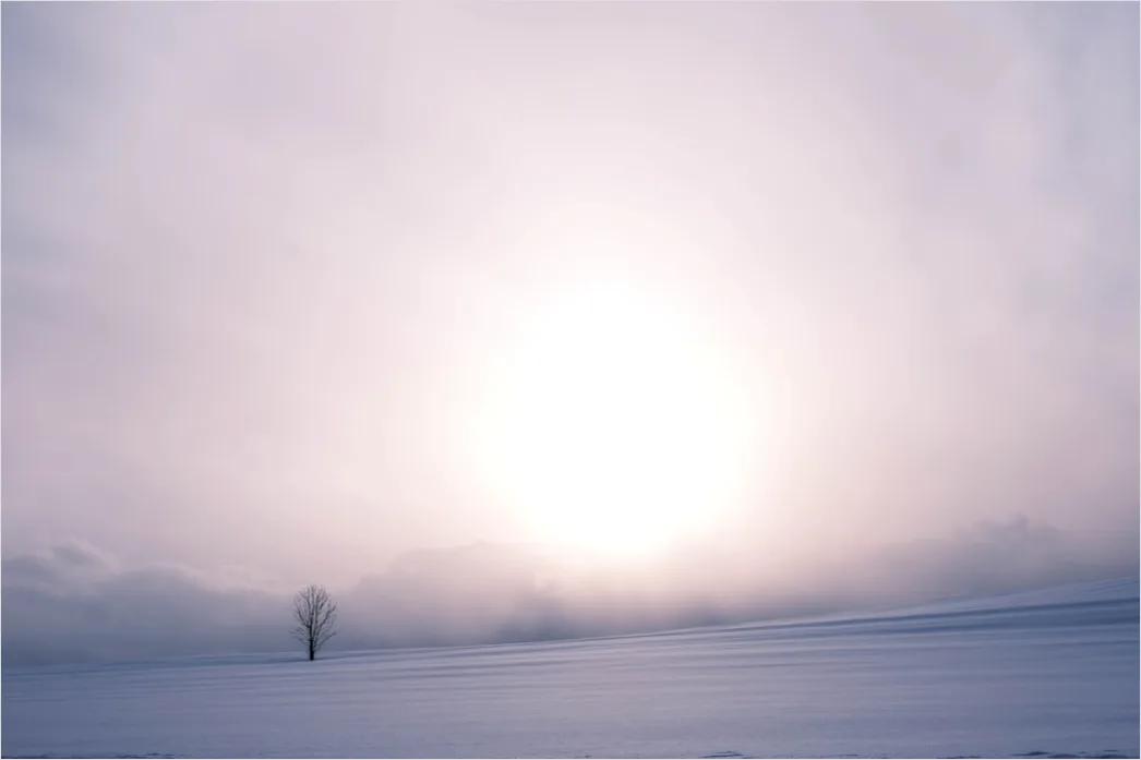 Detail Winter Schnee Stille Landschaft Minimalistisch Number 18