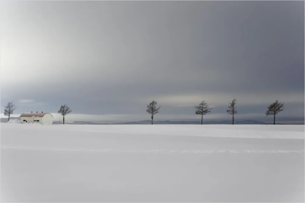 Detail Winter Schnee Stille Landschaft Minimalistisch Number 19