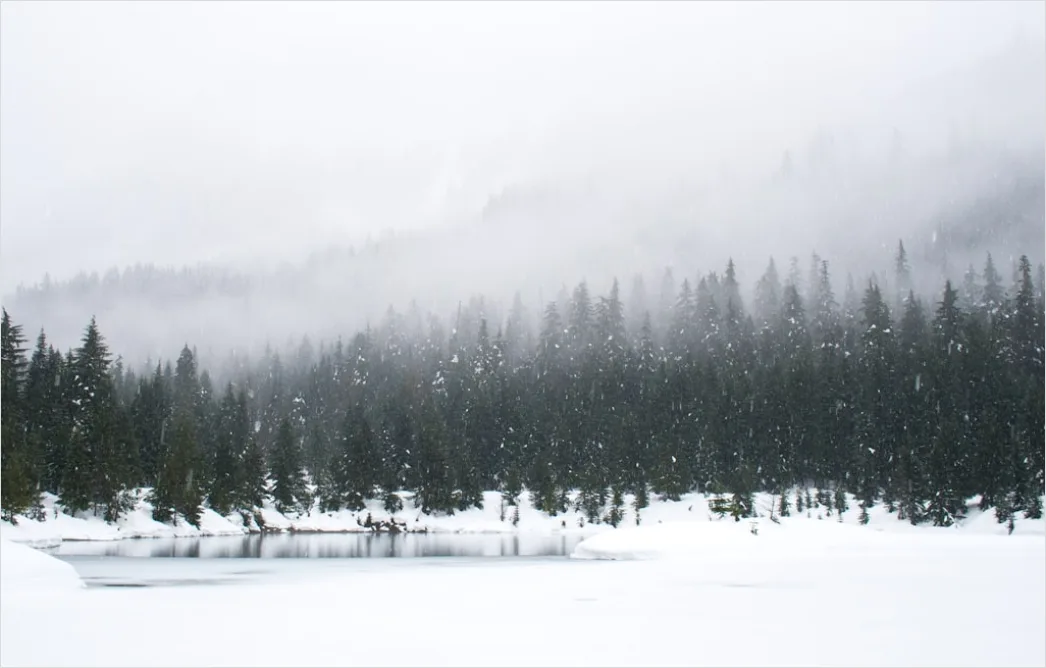 Detail Winter Schnee Stille Landschaft Minimalistisch Number 3