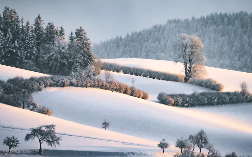 Detail Winter Schnee Stille Landschaft Minimalistisch Number 7