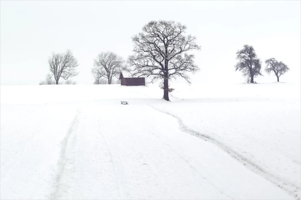 Detail Winter Schnee Stille Landschaft Minimalistisch Number 9