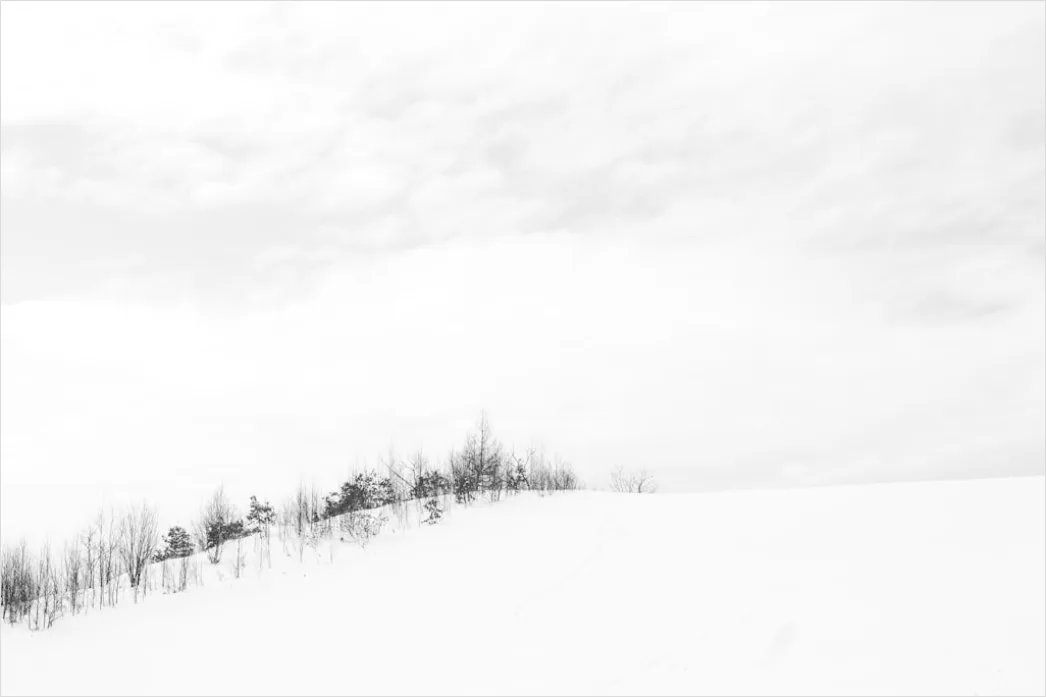 Detail Winter Schnee Stille Landschaft Minimalistisch Number 10