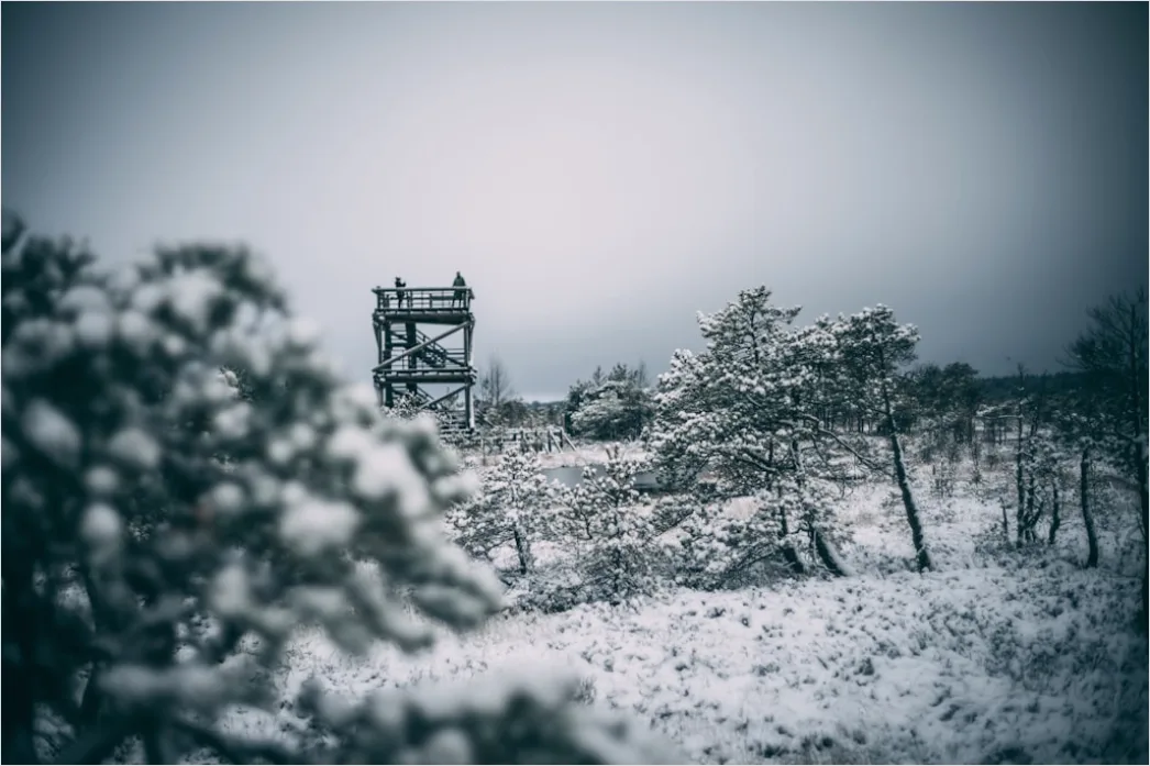 Detail Winter Schneesturm Dramatisch Landschaft Number 12