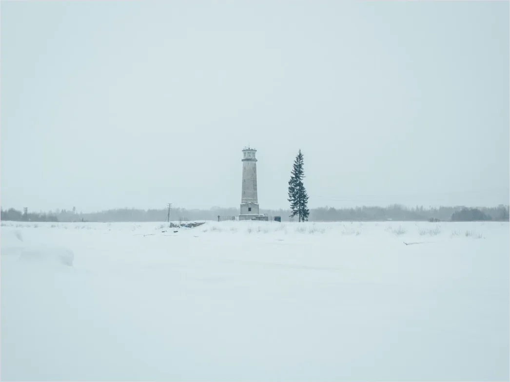 Detail Winter Schneesturm Dramatisch Landschaft Number 13
