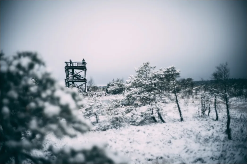 Detail Winter Schneesturm Dramatisch Landschaft Number 17