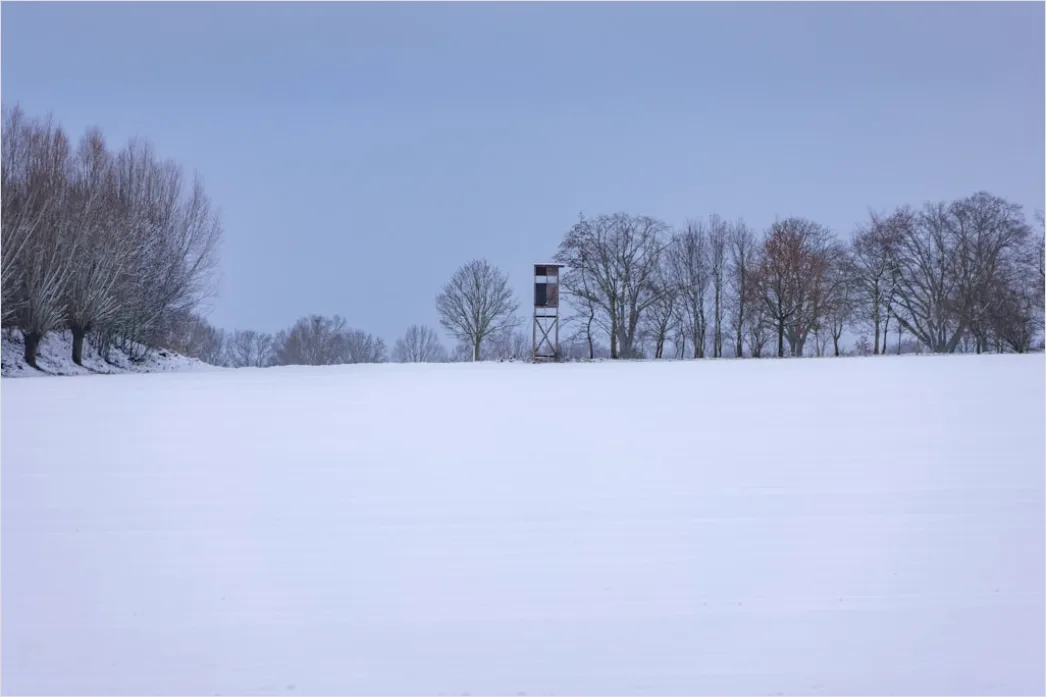 Detail Winter Schneesturm Dramatisch Landschaft Number 4