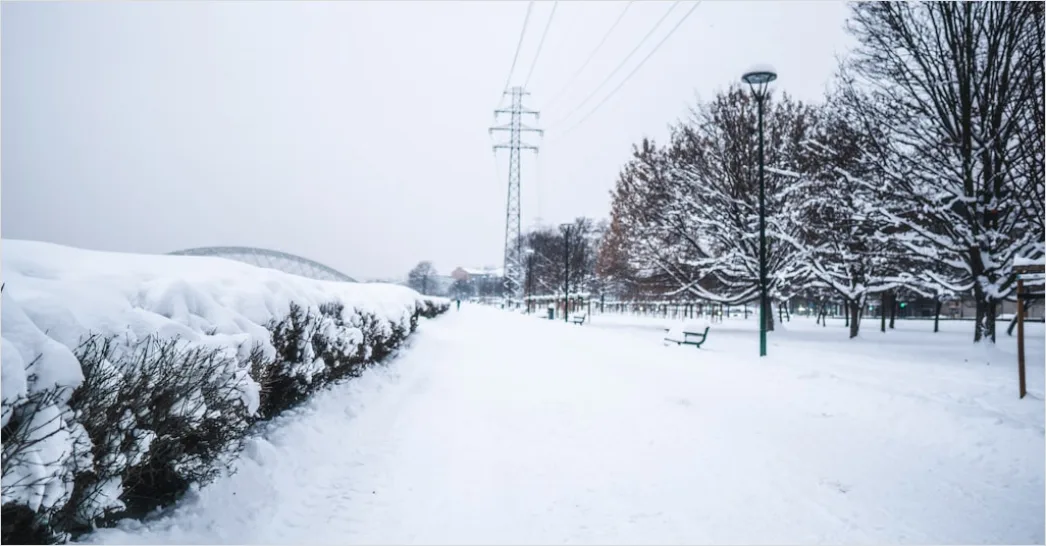 Detail Winter Schneesturm Dramatisch Landschaft Number 9