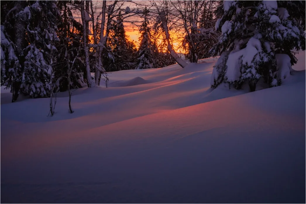 Detail Winter Sonnenuntergang Schnee Golden Number 11