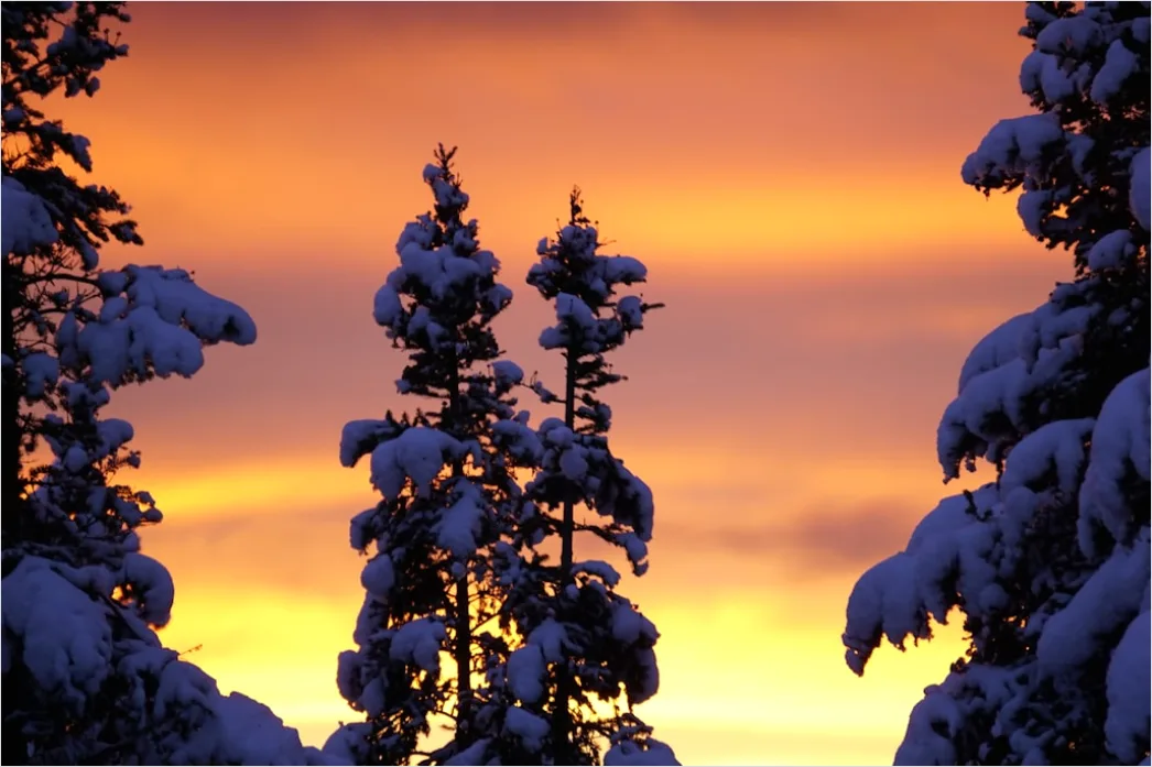 Detail Winter Sonnenuntergang Schnee Golden Number 12