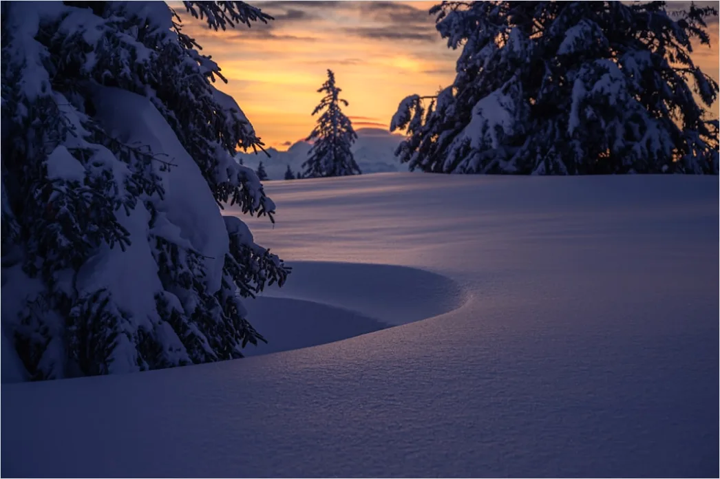 Detail Winter Sonnenuntergang Schnee Golden Number 13