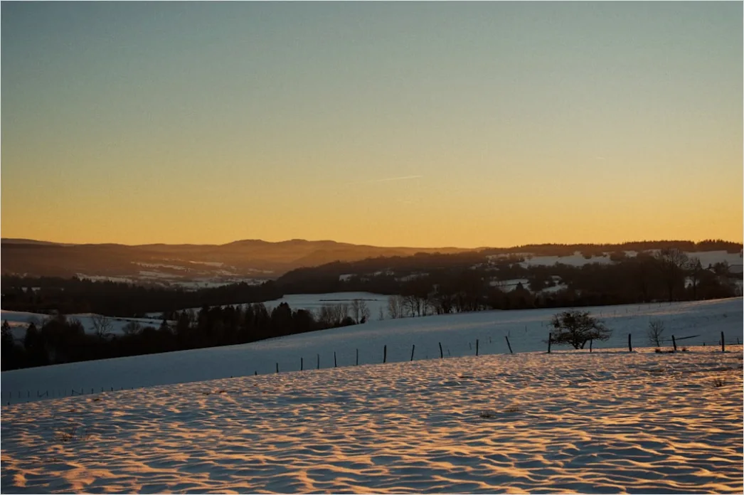 Detail Winter Sonnenuntergang Schnee Golden Number 18