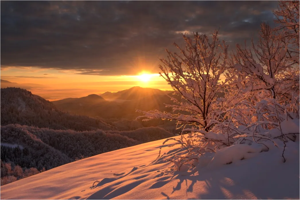 Detail Winter Sonnenuntergang Schnee Golden Number 3