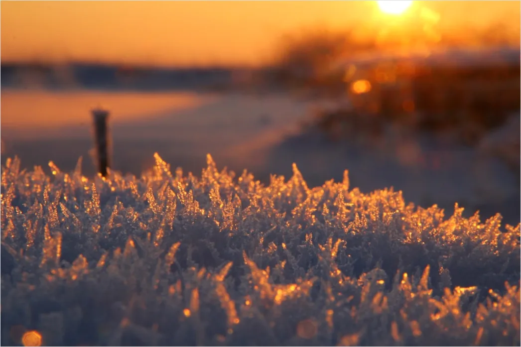 Detail Winter Sonnenuntergang Schnee Golden Number 7