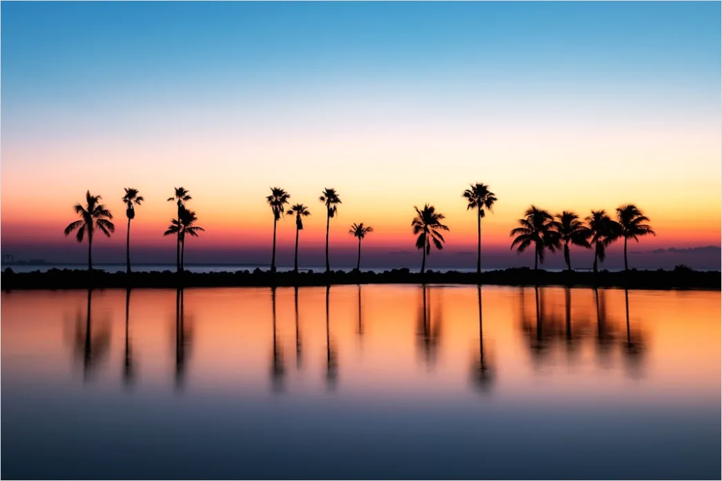 Wueste Oase Palmen Wasser Stille E2f3