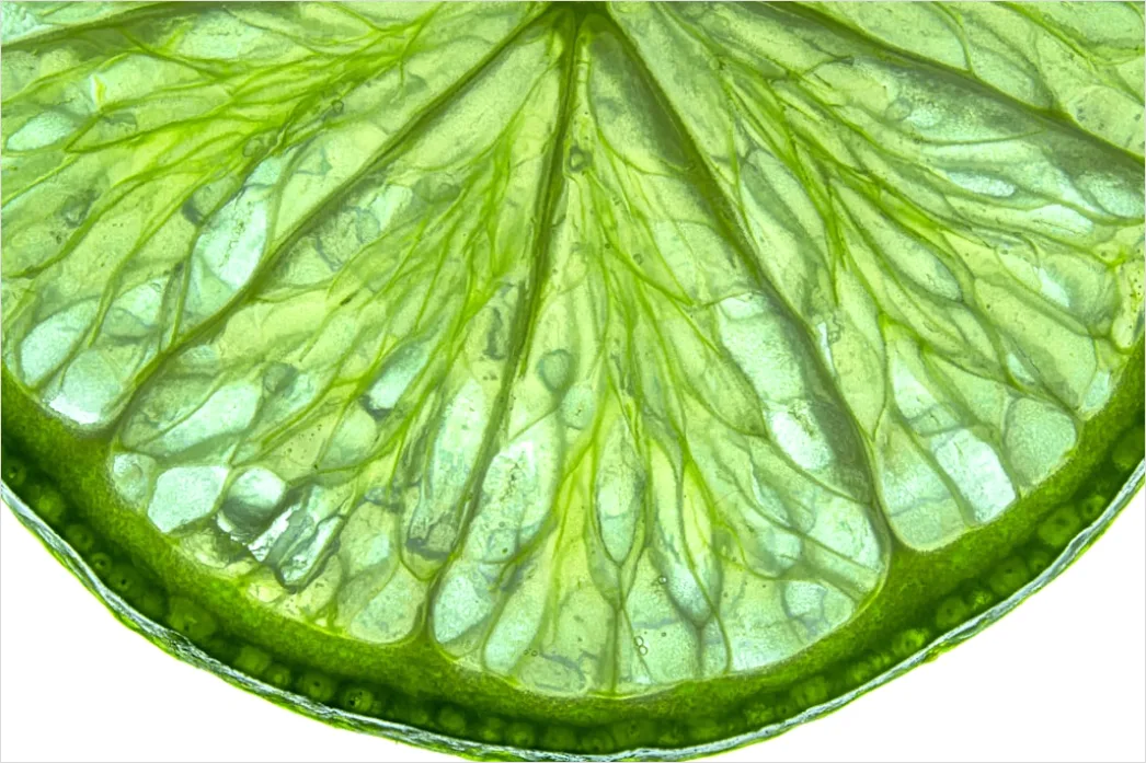 Detail Zitrone Scheibe Makro Nahaufnahme Saft Number 3