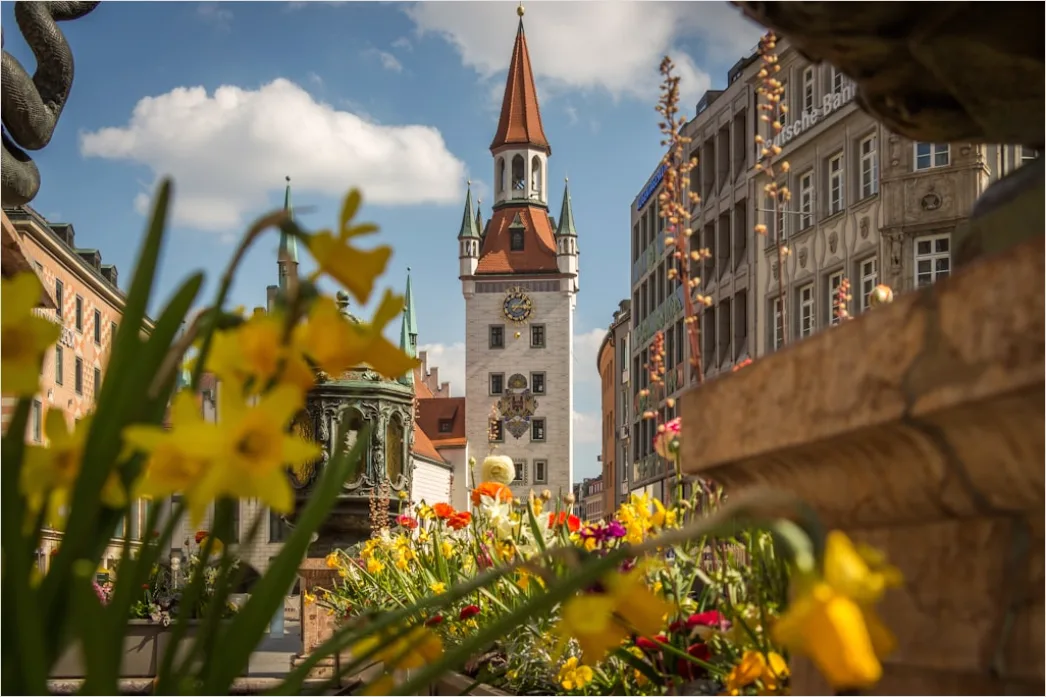 Detail Altstadt Häuserreihe Mit Blumenkästen Sommer Number 2