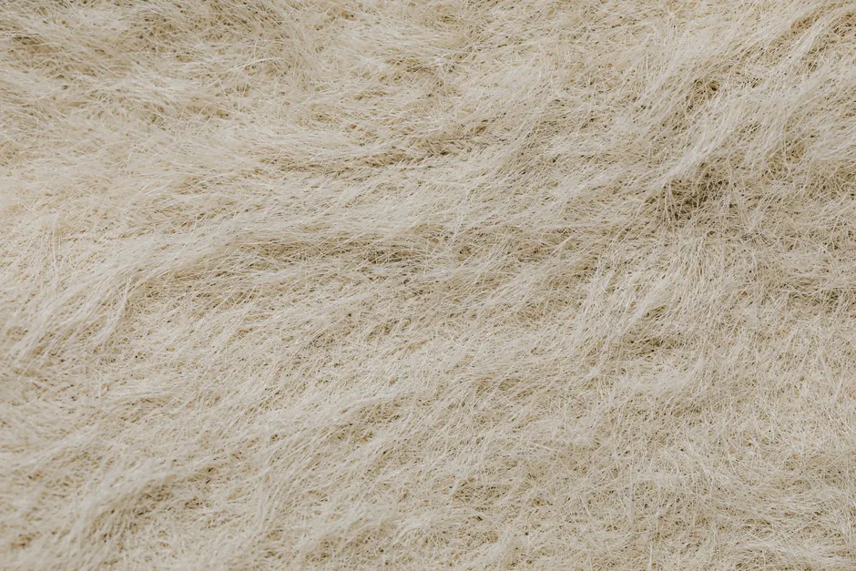 Detail Bartstoppeln Makro Nahaufnahme Textur Number 16