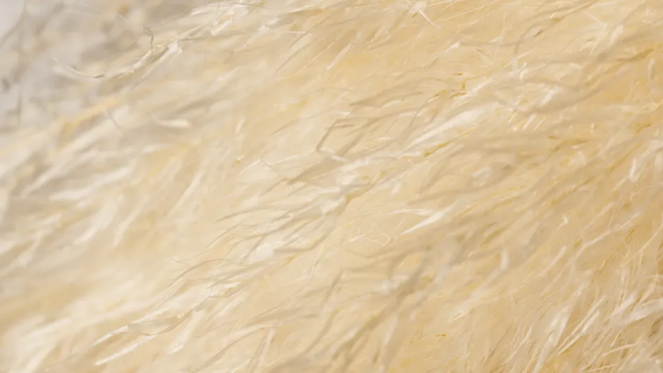Detail Bartstoppeln Makro Nahaufnahme Textur Number 7