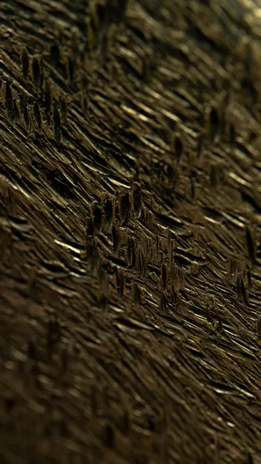 Detail Bartstoppeln Makro Nahaufnahme Textur Number 8