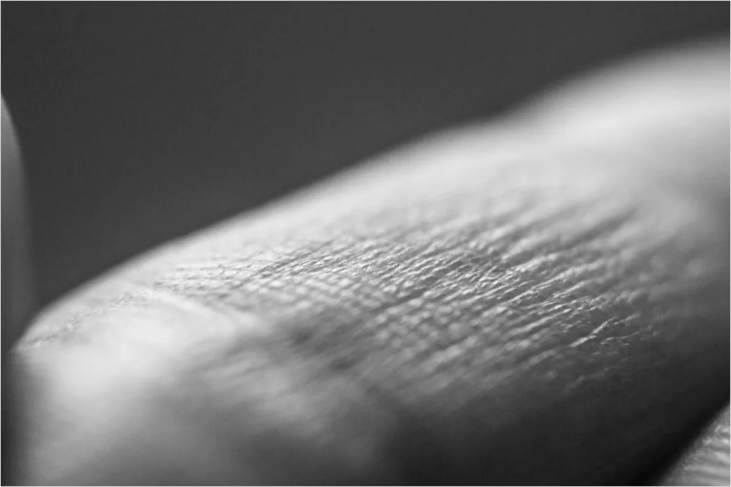 Detail Biometrischer Fingerabdruck Scanner Nahaufnahme Foto Number 14