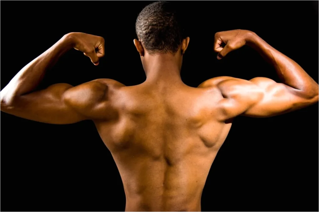 Detail Bodybuilding Posing Im Studio Foto Männlich Number 14