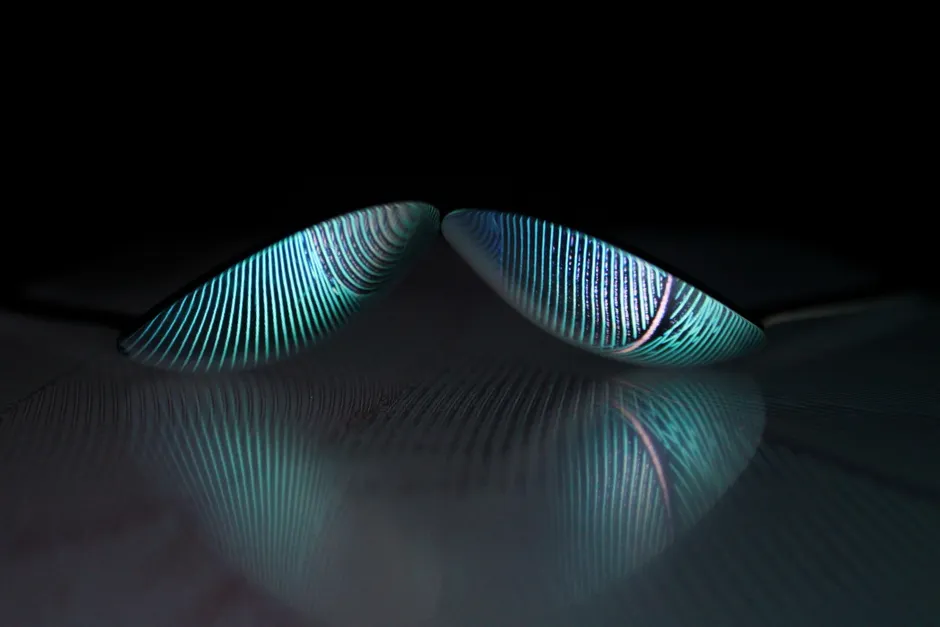Detail Brille Glas Makro Nahaufnahme Reflexion Number 19