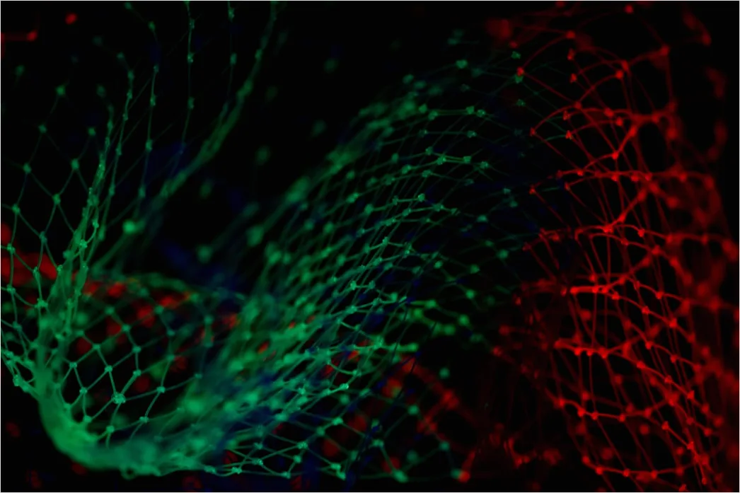 Detail Deep Learning Neuronales Netz Visualisierung Hintergrund Abstrakt Number 5