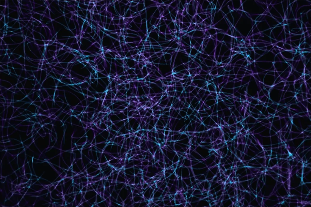 Detail Deep Learning Neuronales Netz Visualisierung Hintergrund Abstrakt Number 6