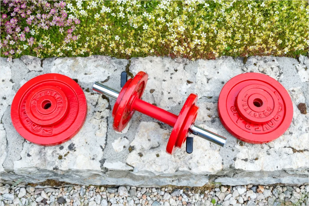 Detail Dumbbells Zuhause Auf Teppich Flat Lay Foto Number 6