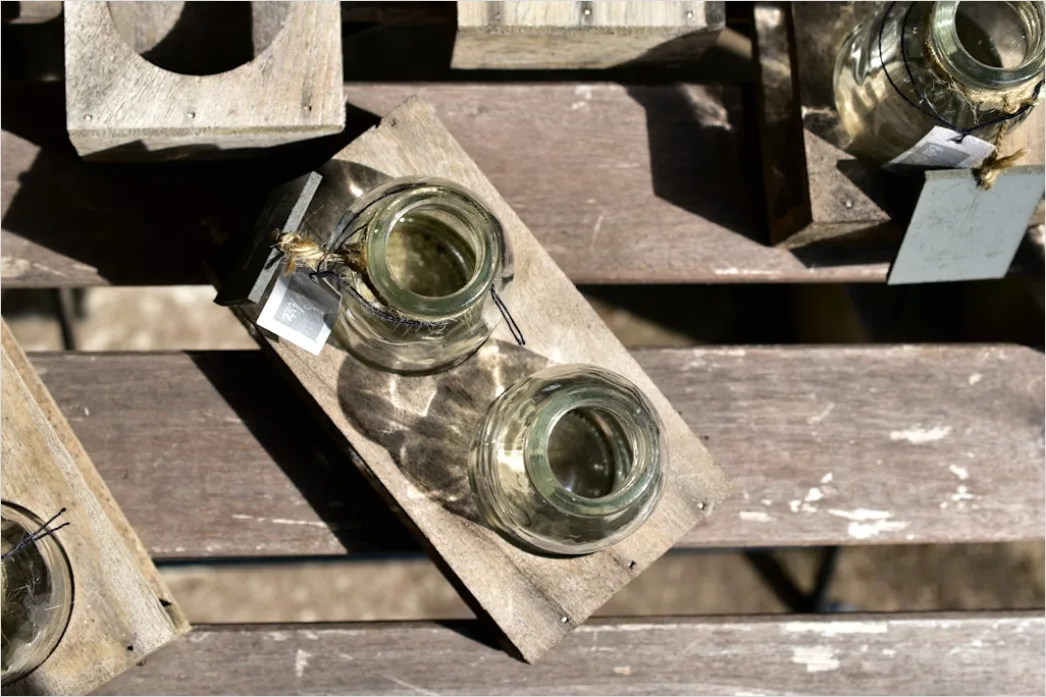 Detail Flasche Im Flaschenhalter Foto Detail Number 19