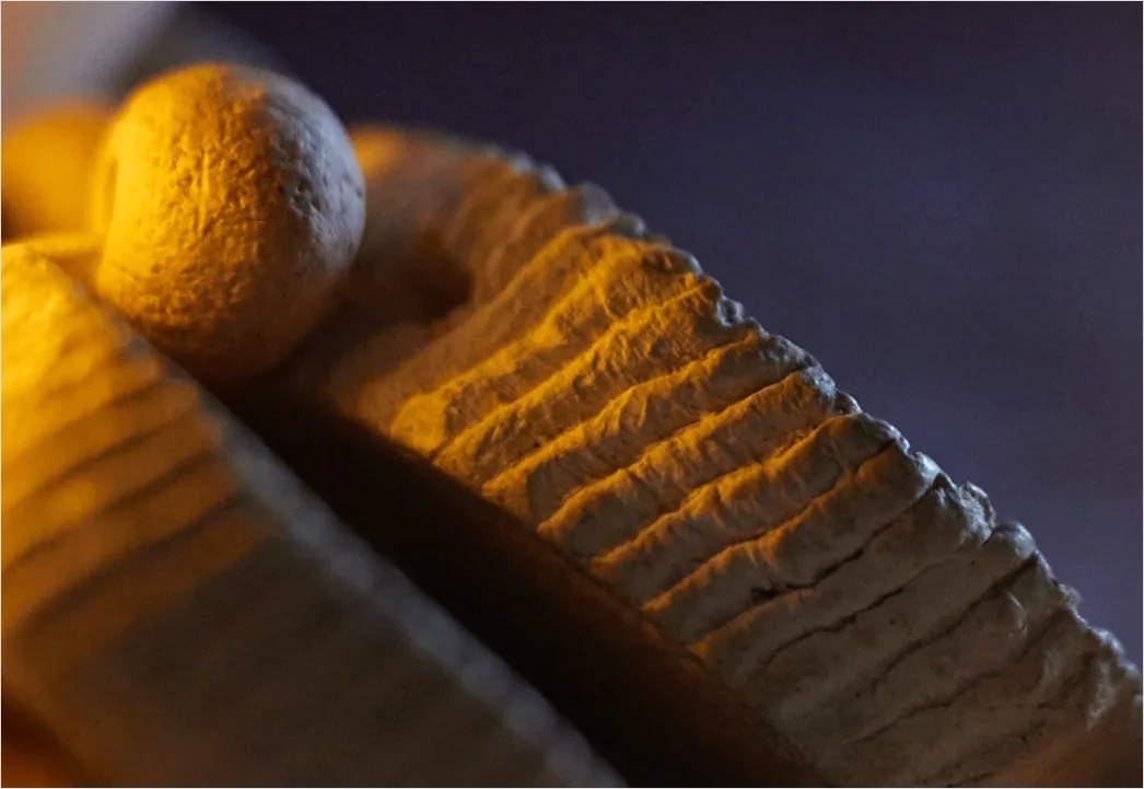 Detail Foam Rolling Beine Regeneration Foto Number 12