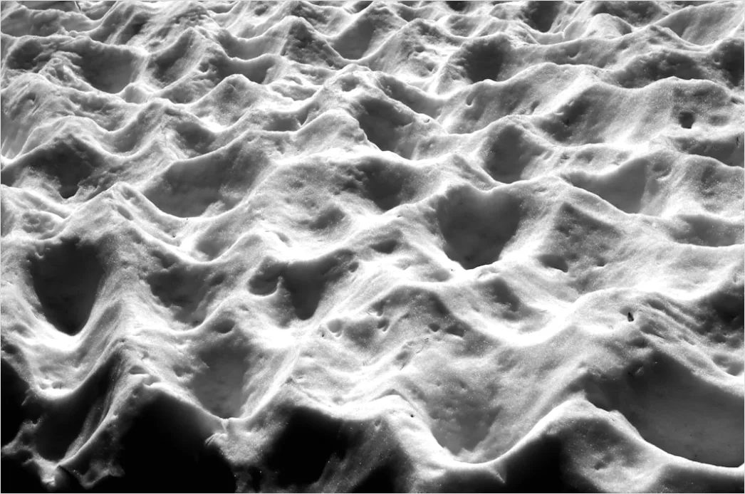 Detail Foam Rolling Beine Regeneration Foto Number 19