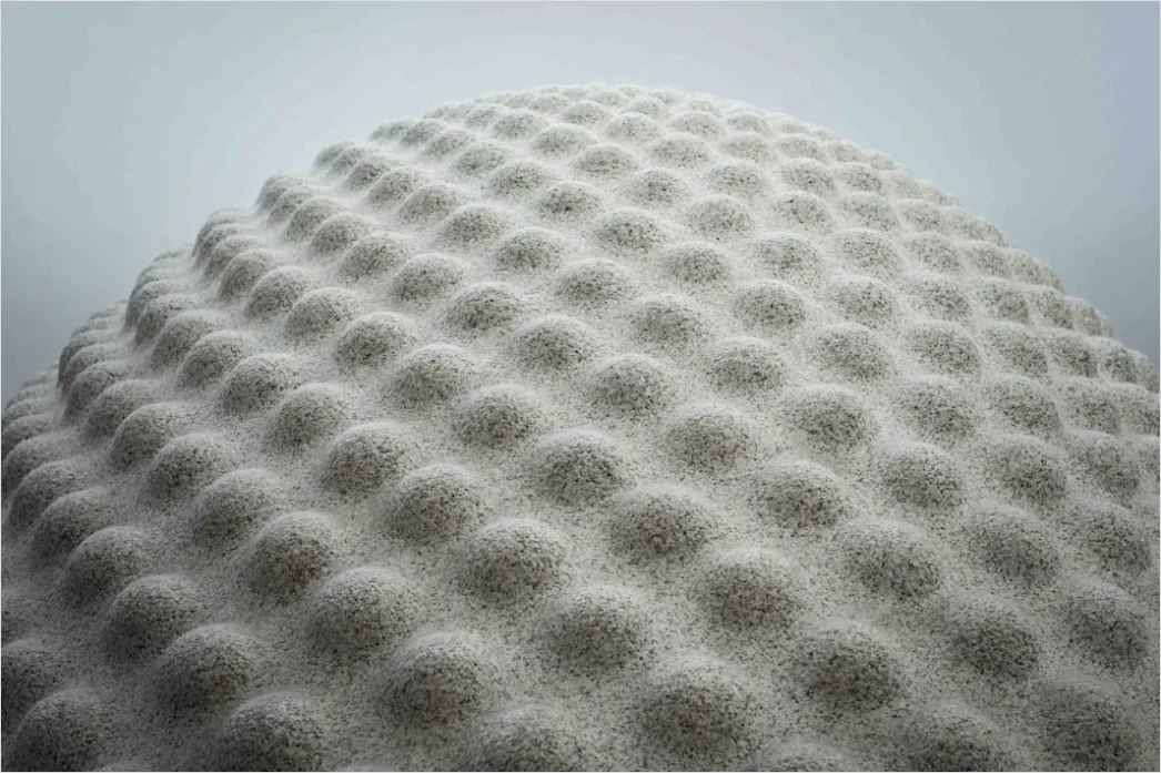 Detail Foam Rolling Beine Regeneration Foto Number 7