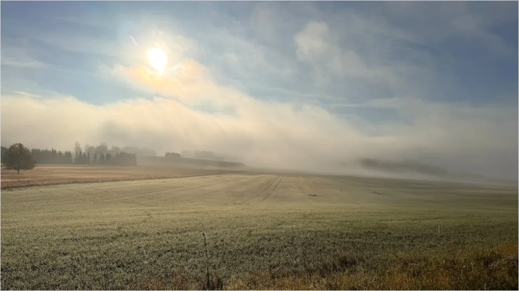 Friedhofskapelle Nebel Stimmungsvoll Morgens 441e