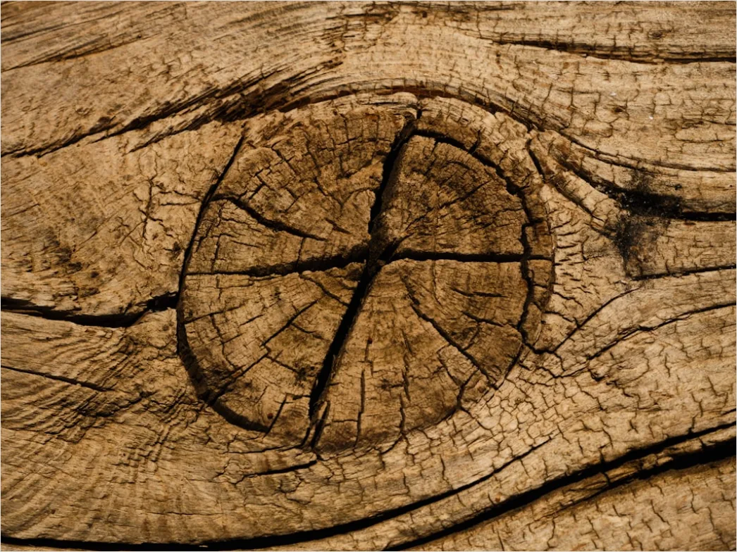 Holz Riss Makro Nahaufnahme Detail 0b27