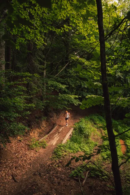 Detail Joggen Im Wald Trailrunning Foto Action Number 11