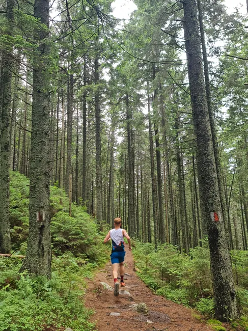 Detail Joggen Im Wald Trailrunning Foto Action Number 12