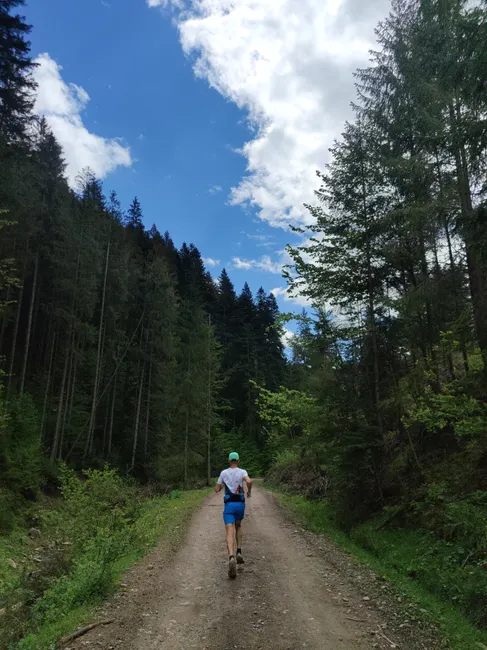 Detail Joggen Im Wald Trailrunning Foto Action Number 14
