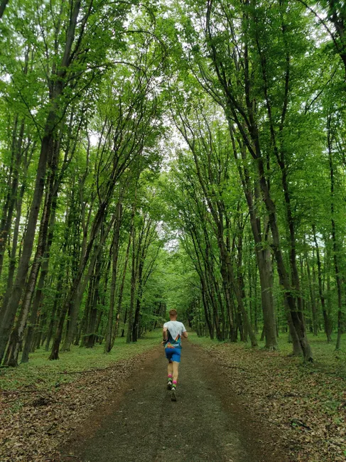 Detail Joggen Im Wald Trailrunning Foto Action Number 19