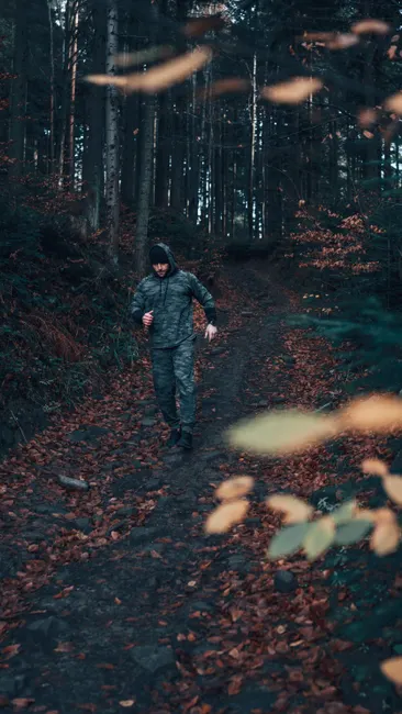 Detail Joggen Im Wald Trailrunning Foto Action Number 20