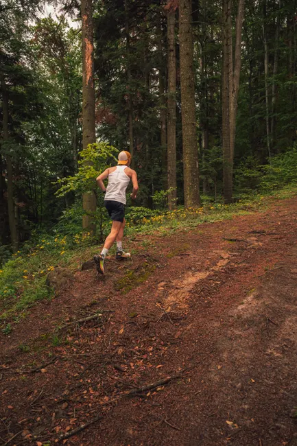 Detail Joggen Im Wald Trailrunning Foto Action Number 4