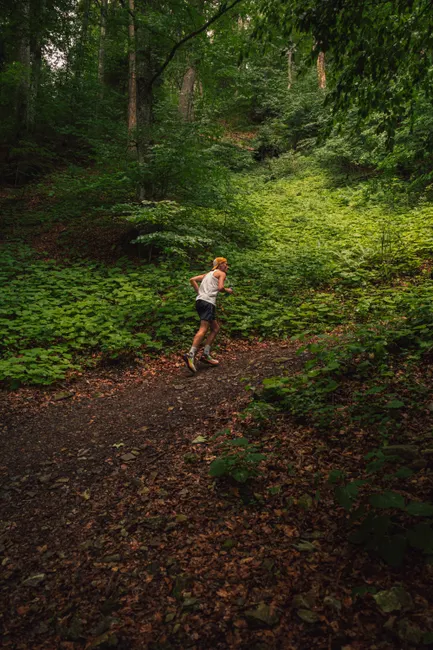 Detail Joggen Im Wald Trailrunning Foto Action Number 7