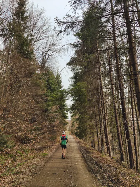Detail Joggen Im Wald Trailrunning Foto Action Number 9