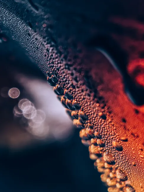 Detail Kondenswasser Auf Flasche Makro Nahaufnahme Number 5