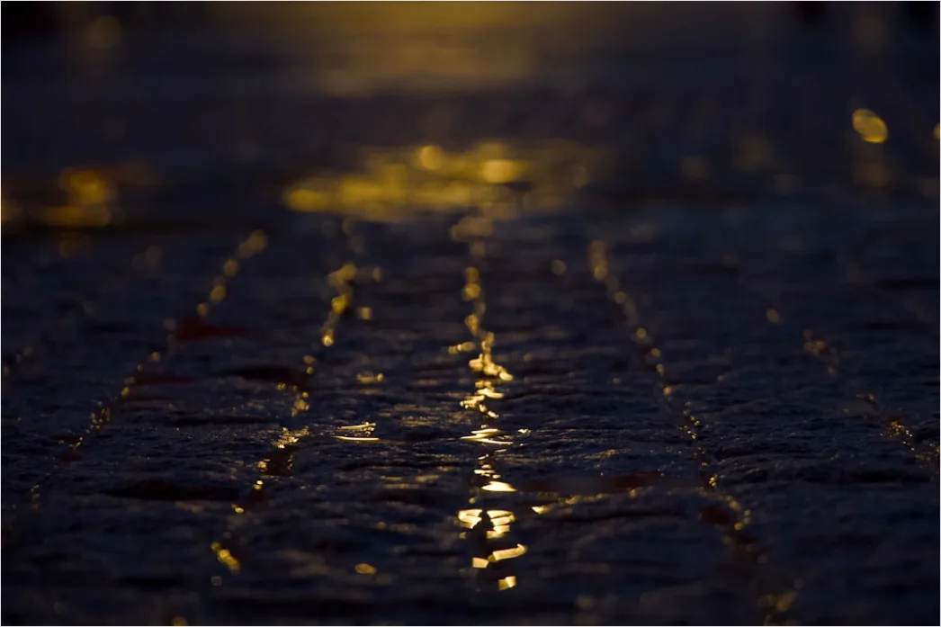 Detail Kopfsteinpflaster Straße Regen Spiegelung Abends Number 14