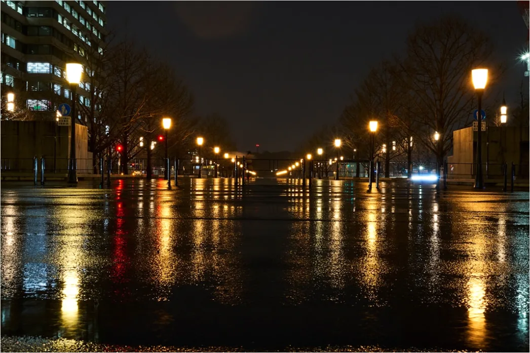 Detail Kopfsteinpflaster Straße Regen Spiegelung Abends Number 7