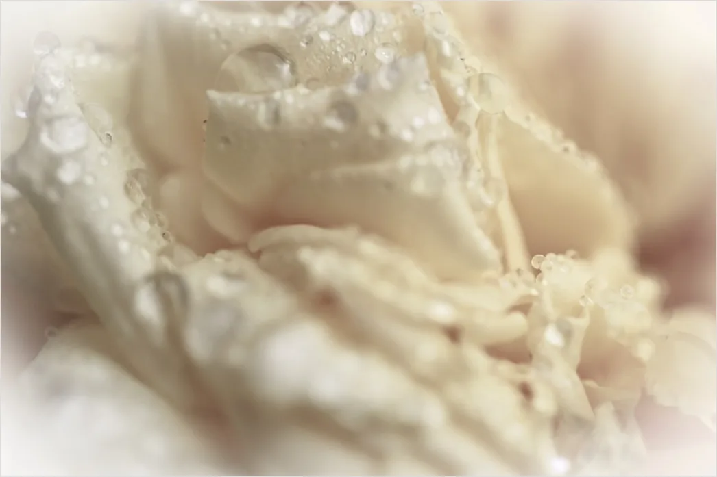 Detail Kosmetik Creme Textur Makro Nahaufnahme Number 11