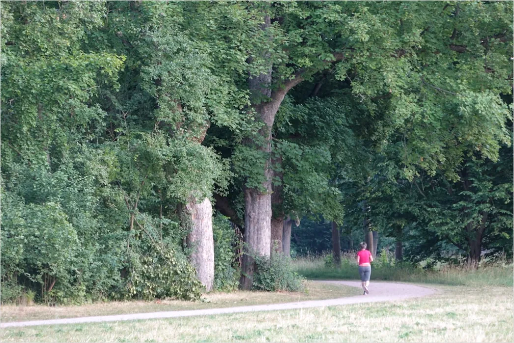 Detail Laufgruppe Im Park Foto Gemeinsames Training Number 18