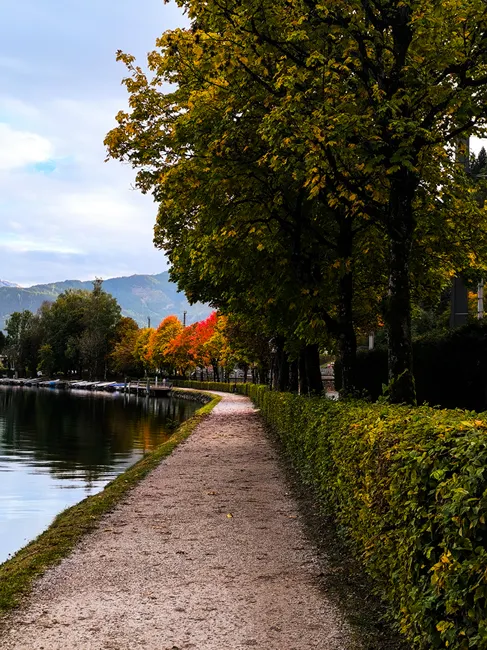 Laufstrecke Am See Panorama Foto 77a8